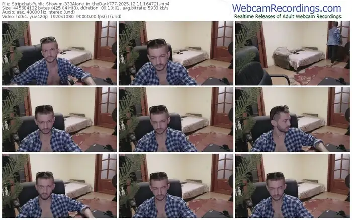 2025/12/11/stripchat-333alone_in_thedark777-16-47-21