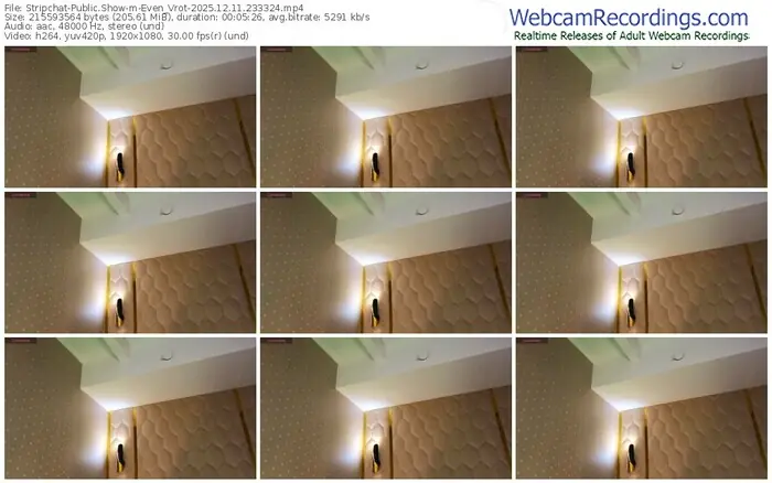 2025/12/11/stripchat-even_vrot-23-33-24