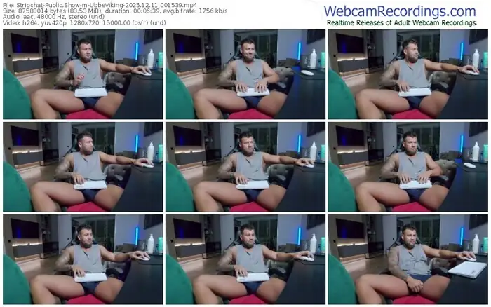 2025/12/11/stripchat-ubbeviking-00-15-39