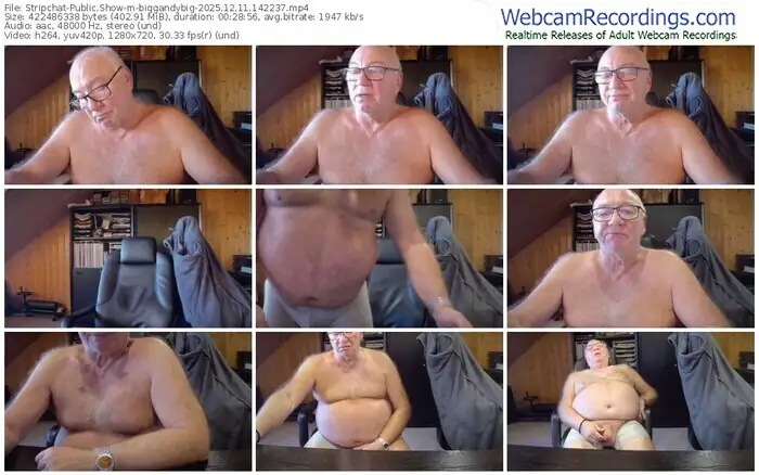 2025/12/11/stripchat-biggandybig-14-22-37