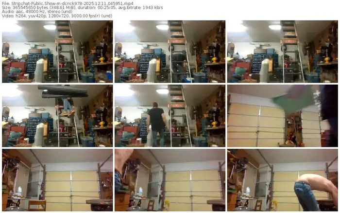 2025/12/11/stripchat-dcrick978-04-59-51