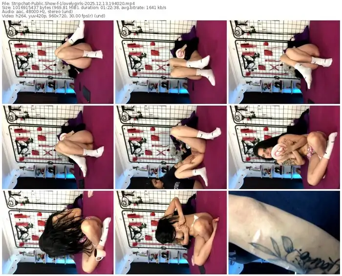 2025/12/13/stripchat-1lovelygirls-19-40-20