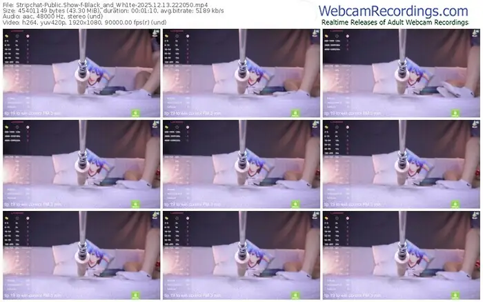 2025/12/13/stripchat-black_and_wh1te-22-20-50