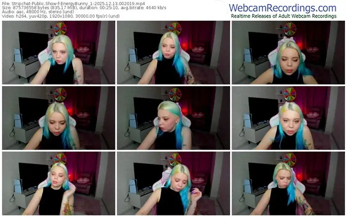 2025/12/13/stripchat-energybunny_1-00-20-19