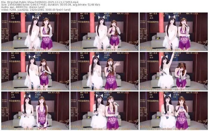 2025/12/13/stripchat-msn001-17-30-53