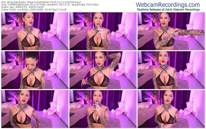 2025/12/13/stripchat-scarletnoir-09-10-58