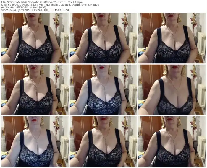 2025/12/13/stripchat-secretfox-10-54-10