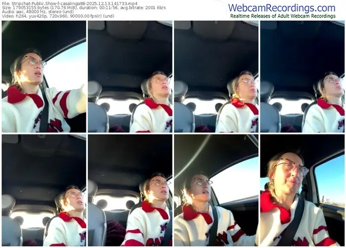 2025/12/13/stripchat-casalinga88-14-17-33