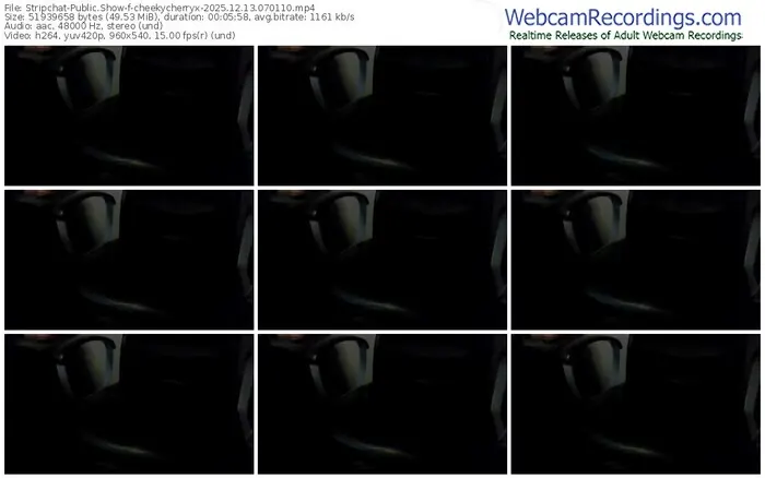 2025/12/13/stripchat-cheekycherryx-07-01-10