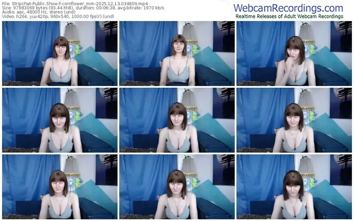 2025/12/13/stripchat-cornflower_mm-03-48-09