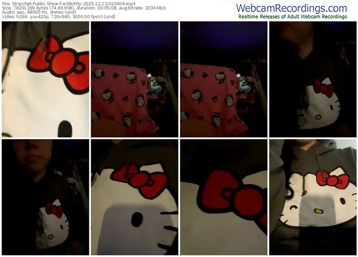 2025/12/13/stripchat-w3tkittty-02-36-04