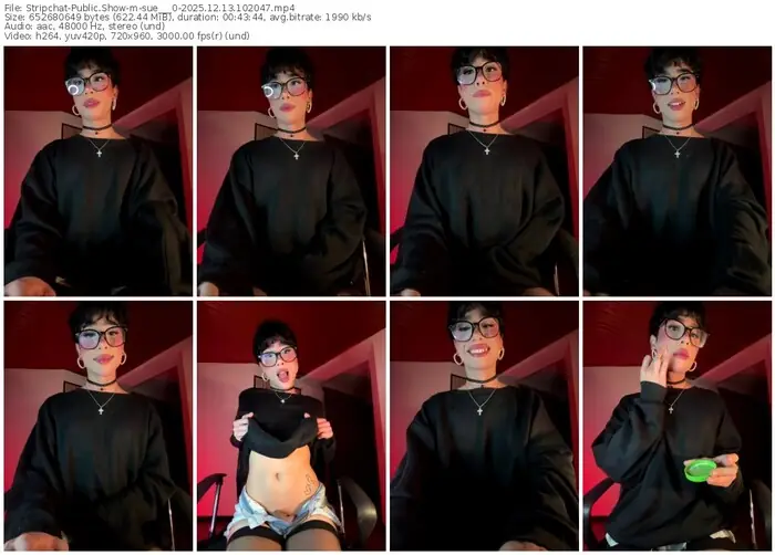 2025/12/13/stripchat-sue___0-10-20-47