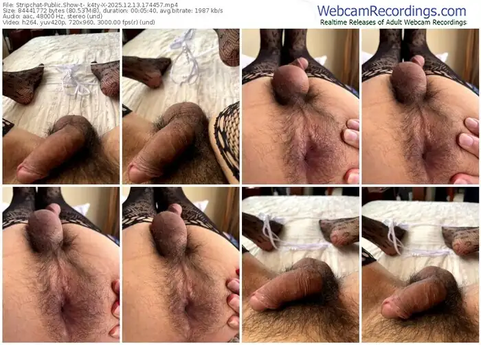 2025/12/13/stripchat-_k4ty-x-17-44-57