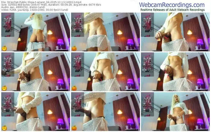 2025/12/13/stripchat-ariann_bk-14-00-12