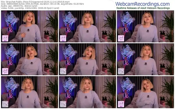 2025/12/14/stripchat-dragonwind-13-50-18