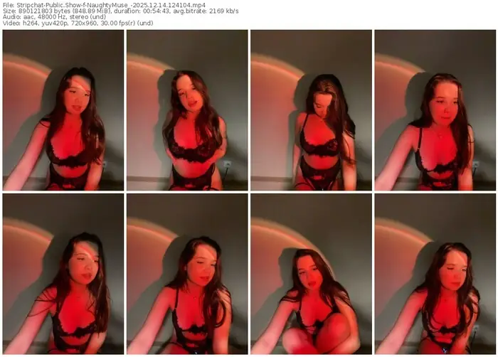 2025/12/14/stripchat-naughtymuse_-12-41-04