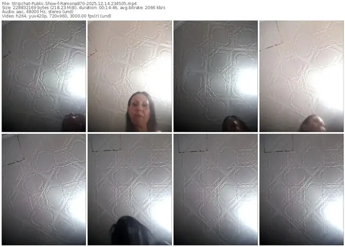 2025/12/14/stripchat-ramona870-23-45-05
