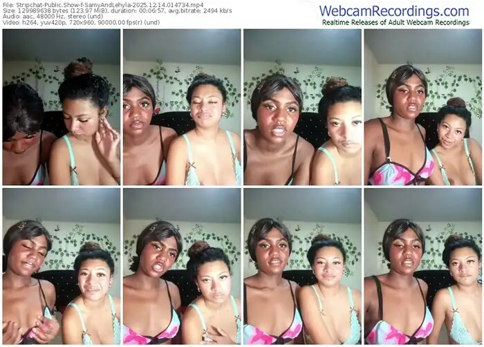 2025/12/14/stripchat-samyandlehyla-01-47-34