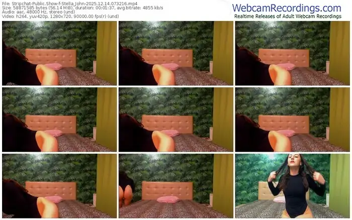 2025/12/14/stripchat-stella_john-07-32-16