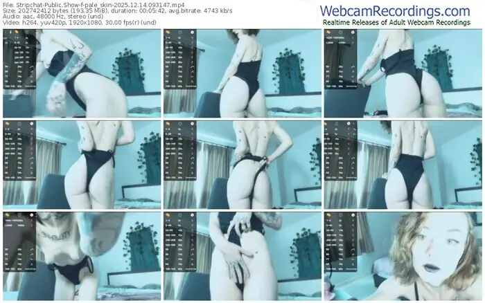 2025/12/14/stripchat-pale_skin-09-31-47