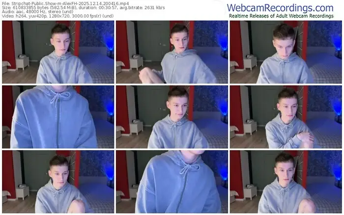 2025/12/14/stripchat-alexfh-20-04-16