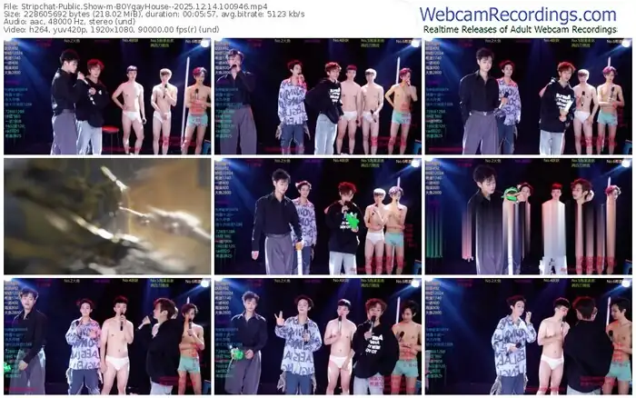 2025/12/14/stripchat-boygayhouse--10-09-46