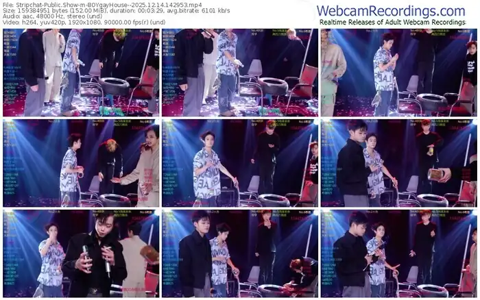 2025/12/14/stripchat-boygayhouse--14-29-53