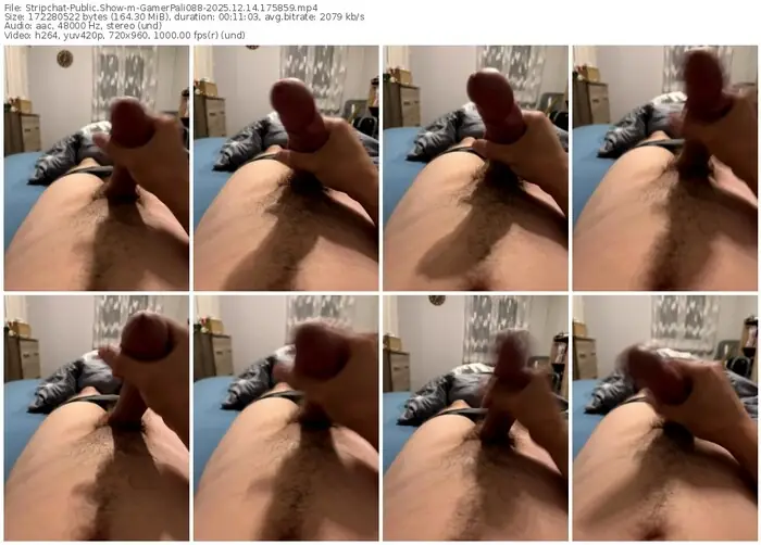 2025/12/14/stripchat-gamerpali088-17-58-59