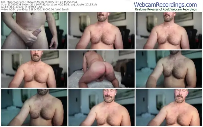2025/12/14/stripchat-mr_beef-14-57-50
