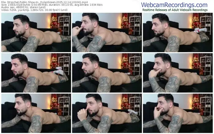 2025/12/14/stripchat-_dylangreen-10-10-41