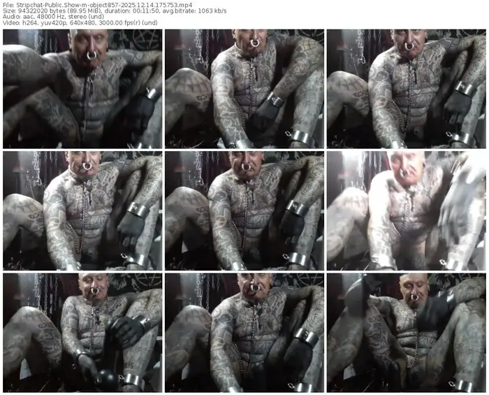 2025/12/14/stripchat-object857-17-57-53