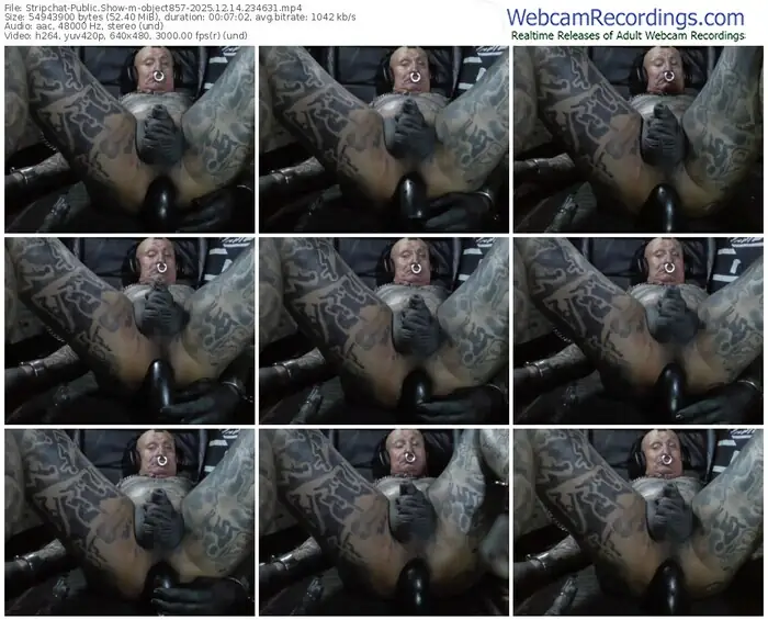 2025/12/14/stripchat-object857-23-46-31