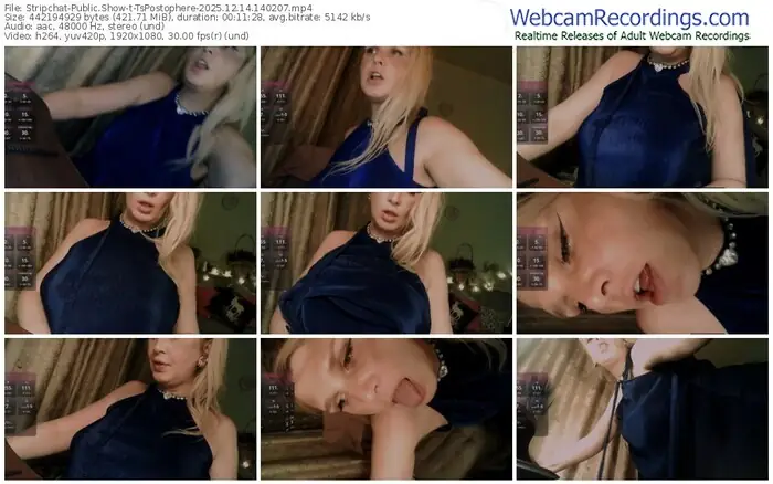 2025/12/14/stripchat-tspostophere-14-02-07