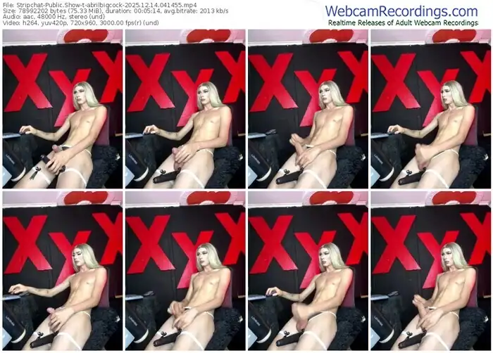 2025/12/14/stripchat-abrilbigcock-04-14-55