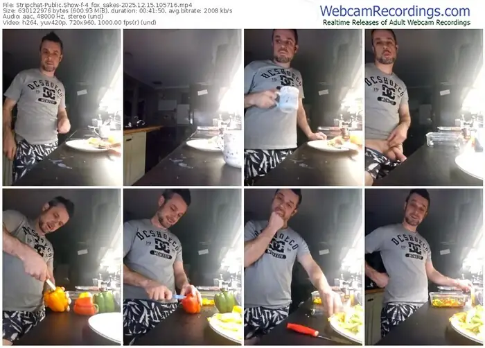 2025/12/15/stripchat-4_fox_sakes-10-57-16