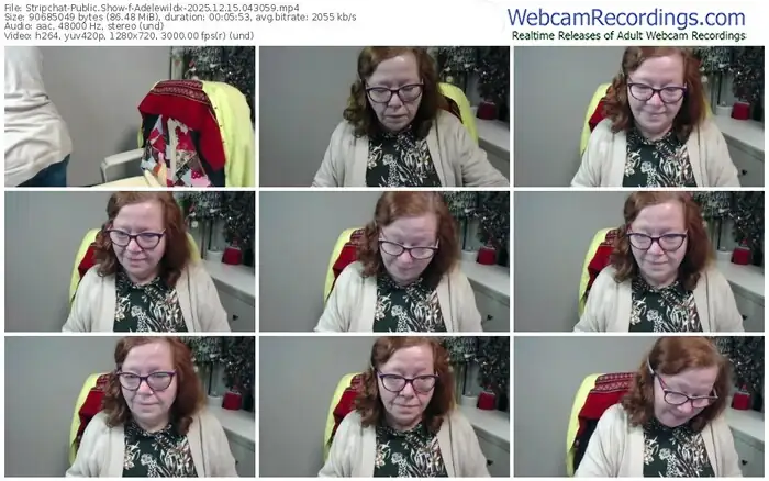 2025/12/15/stripchat-adelewildx-04-30-59