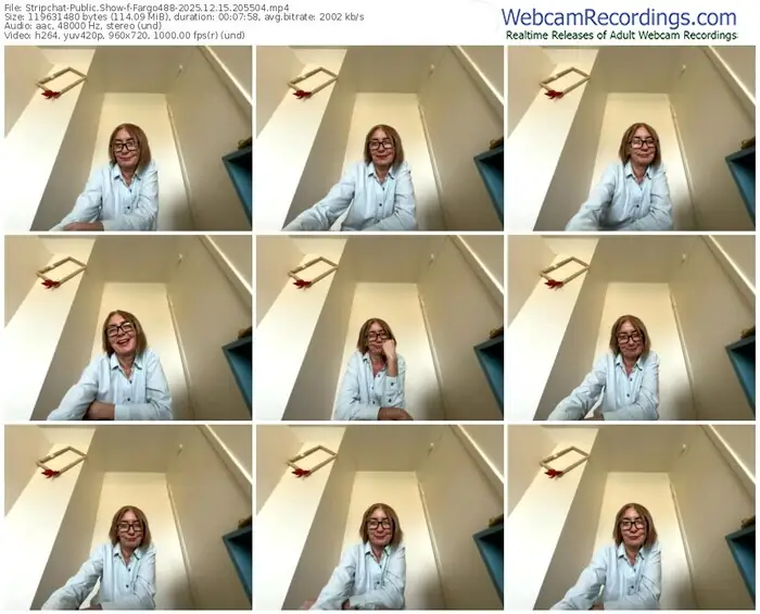 2025/12/15/stripchat-fargo488-20-55-04