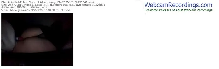 2025/12/15/stripchat-hiddenhoneyldn-23-15-41