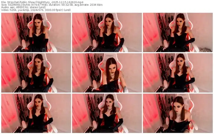 2025/12/15/stripchat-nightfury_-16-26-20