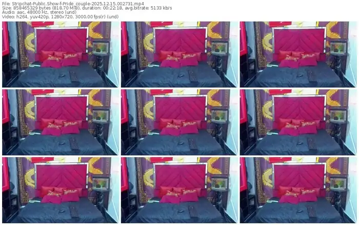 2025/12/15/stripchat-pride_couple-00-27-31