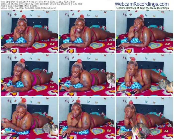 2025/12/15/stripchat-the_wickles_4443-23-37-51