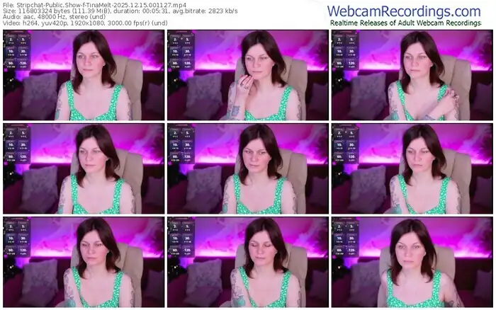 2025/12/15/stripchat-tinamelt-00-11-27