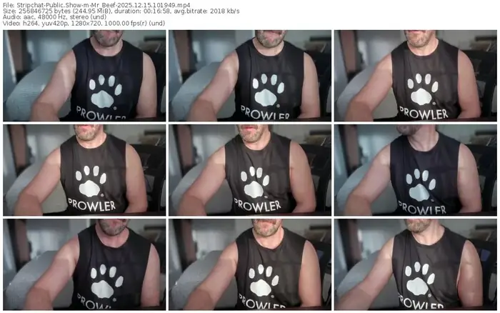 2025/12/15/stripchat-mr_beef-10-19-49