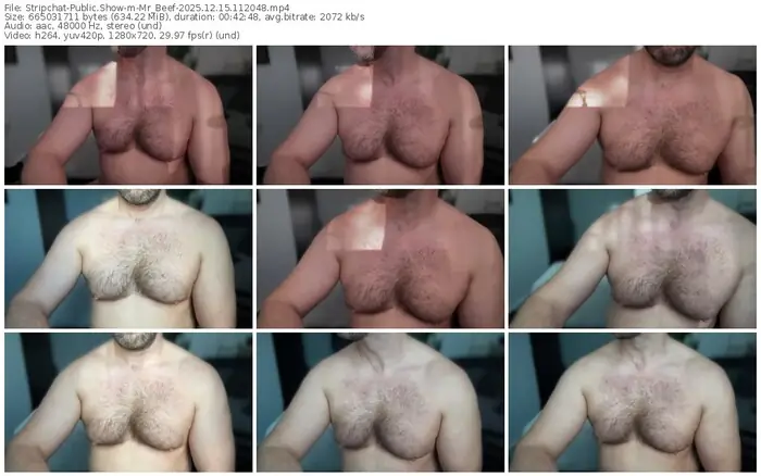 2025/12/15/stripchat-mr_beef-11-20-48