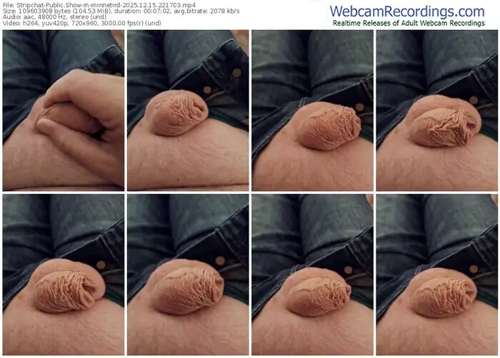 2025/12/15/stripchat-minnetird-22-17-03