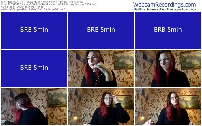 2025/12/16/stripchat-mangledshale-11-01-32
