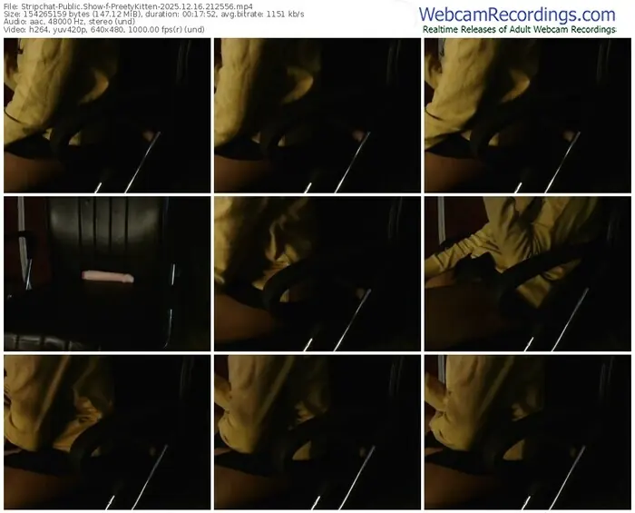 2025/12/16/stripchat-preetykitten-21-25-56