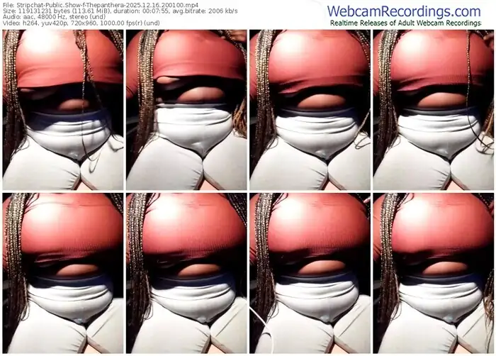 2025/12/16/stripchat-thepanthera-20-01-00
