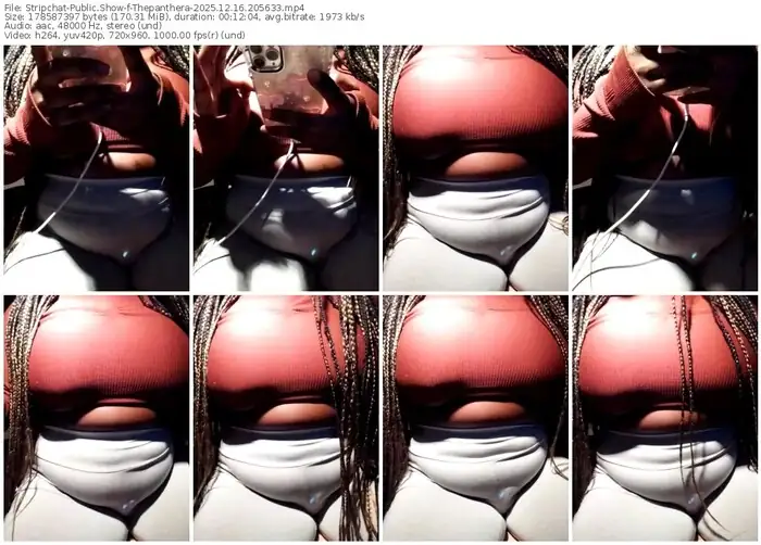 2025/12/16/stripchat-thepanthera-20-56-33