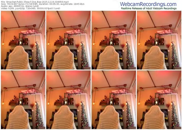 2025/12/16/stripchat-zoe_bae-03-49-56